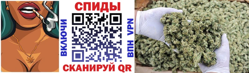 закладка Кедровый БУТИРАТ буратино