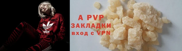 apvp Верея