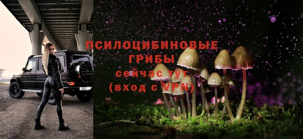 apvp Верея