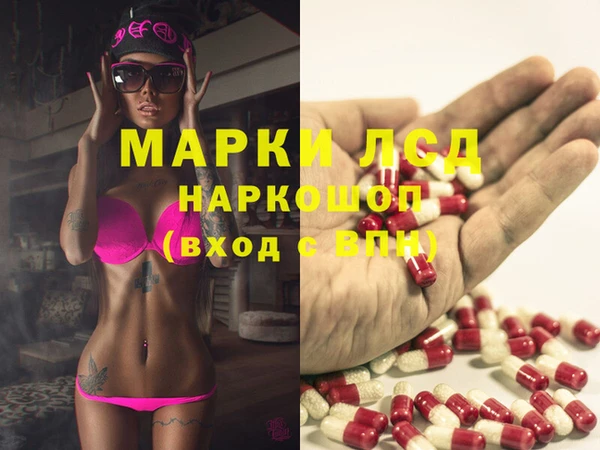 apvp Верея