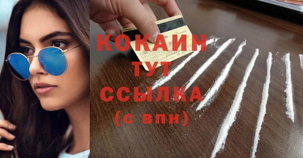 твердый Верхний Тагил